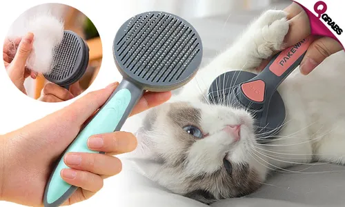 Self-Cleaning Slicker Brush for Pets!